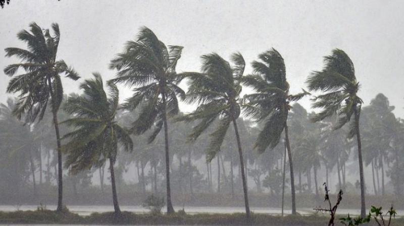 Rainfall, coupled with squally winds, lashed several parts of Odisha Rainfall, coupled with squally winds, lashed several parts of Odisha