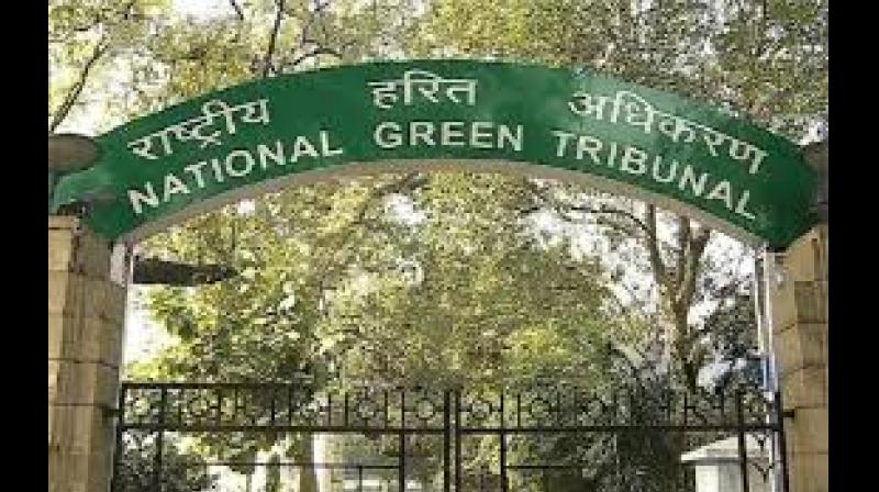 It highlighted that despite more than 28 months having passed since the 2023 order, there was no visible improvement.File Photo.