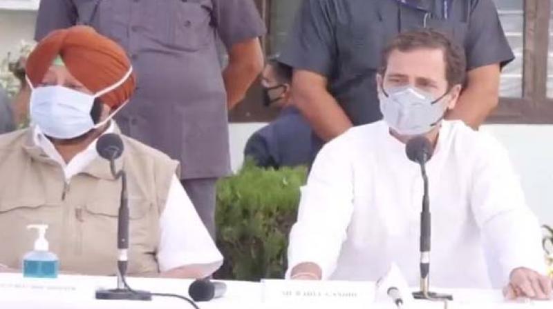 Rahul Gandhi Rahul Gandhi