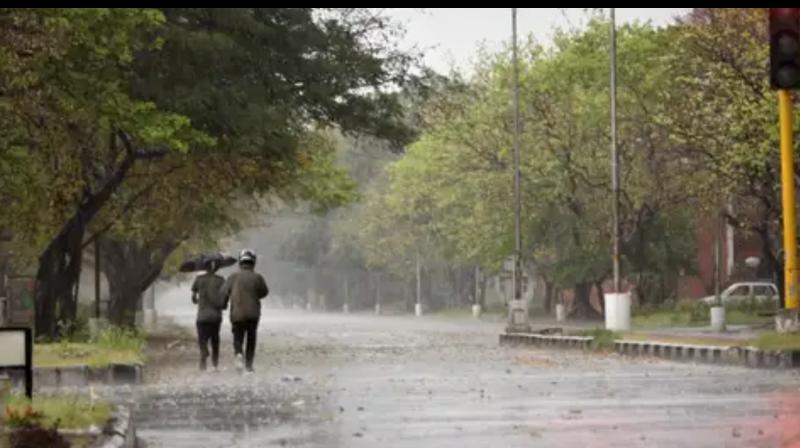 Punjab weather update today: Here's what IMD said Punjab weather update today: Here's what IMD said