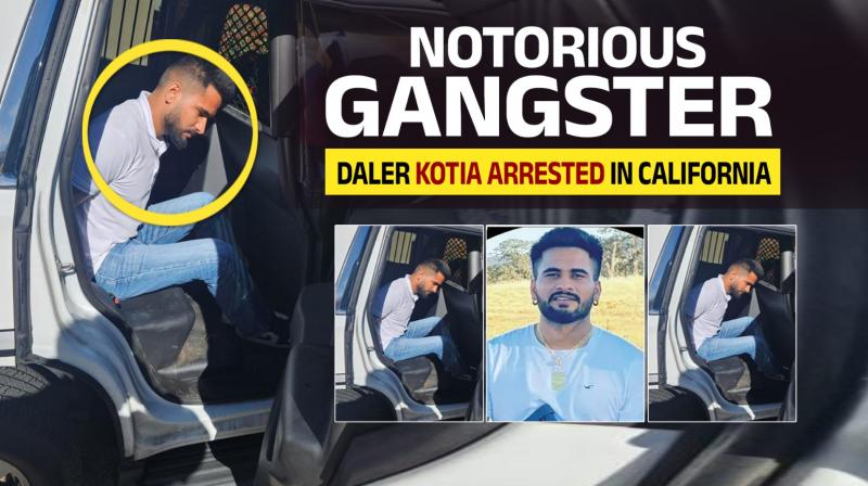 Notorious Gangster Daler Kotia Arrested