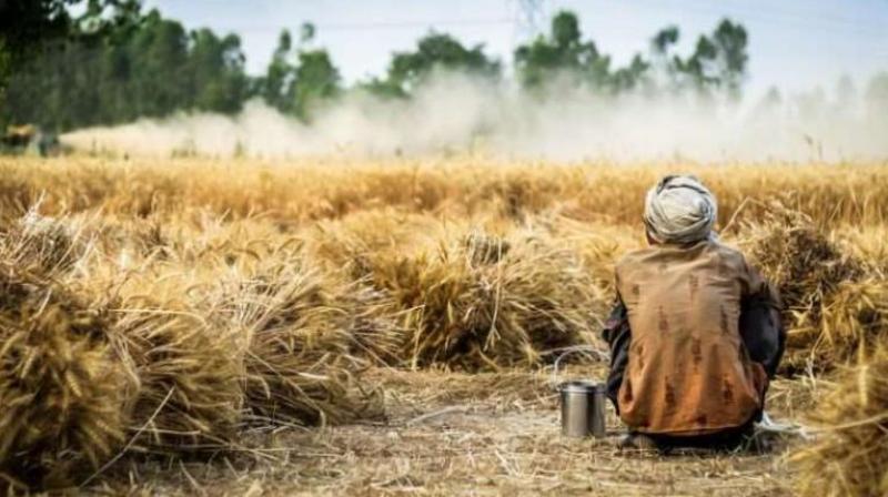 Farmer dies Farmer dies