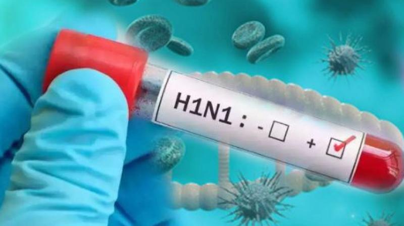 Swine Flu Alert in Punjab