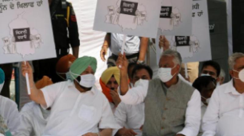 Capt Amarinder Capt Amarinder