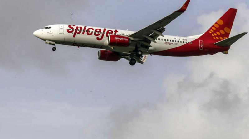 SpiceJet SpiceJet