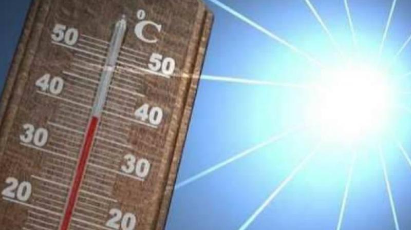Slight rise in temperature in Delhi Slight rise in temperature in Delhi