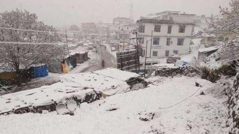 Chardham Yatra resumes as weather clears up Chardham Yatra resumes as weather clears up