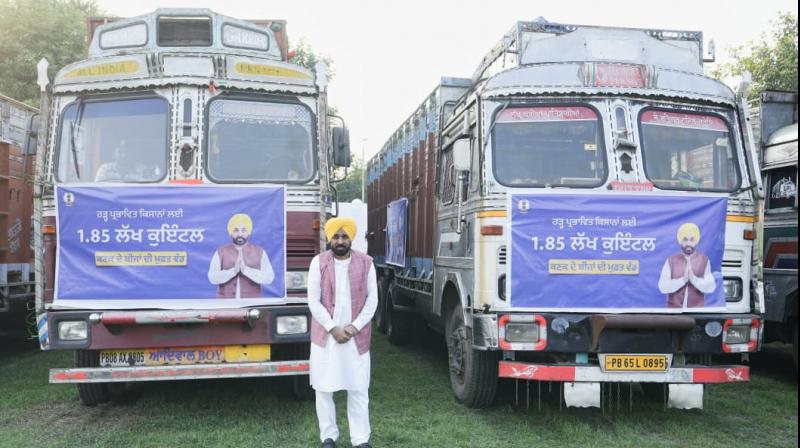 Punjab Govt Begins Distribution of Free Wheat Seeds to Flood-Affected Farmers; CM Mann Flags Off