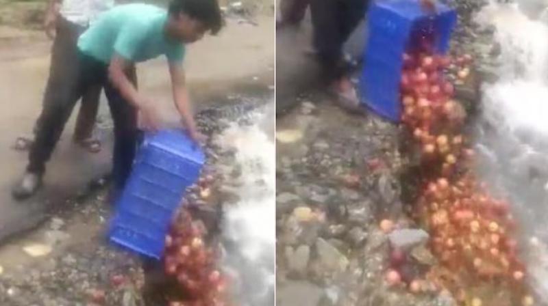  Farmers Discard Produce of Tomato 