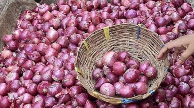 Onion Onion