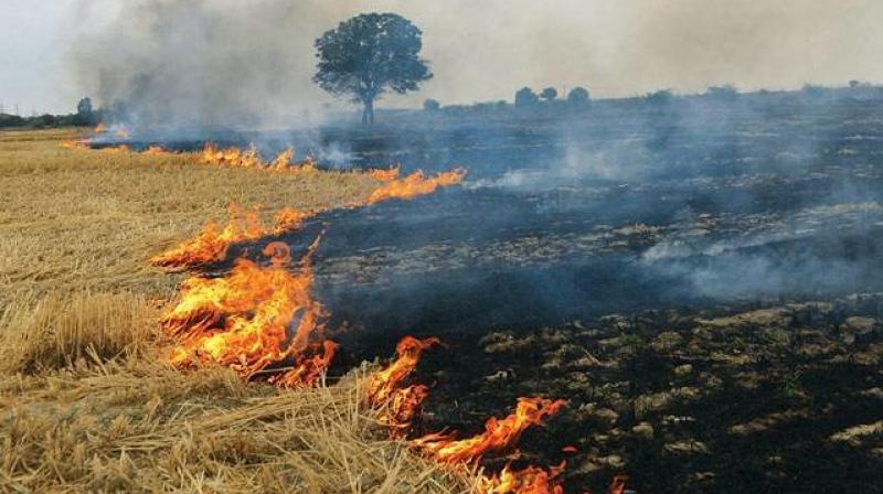 Stubble Burning Stubble Burning