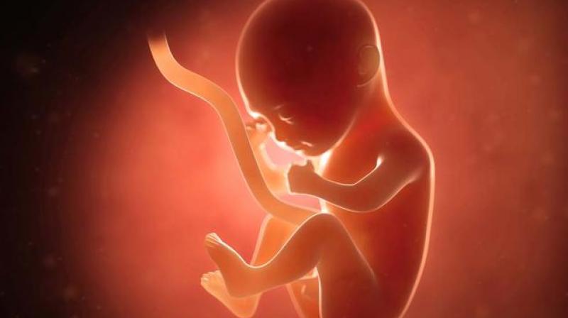 Foetuses found abandoned in Badaun Foetuses found abandoned in Badaun