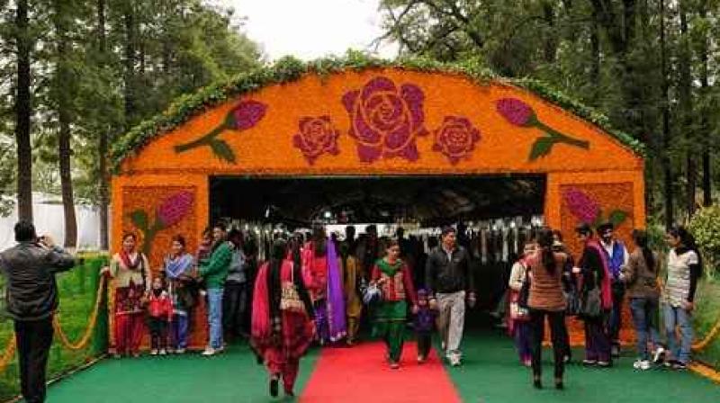 Rose Festival 2024