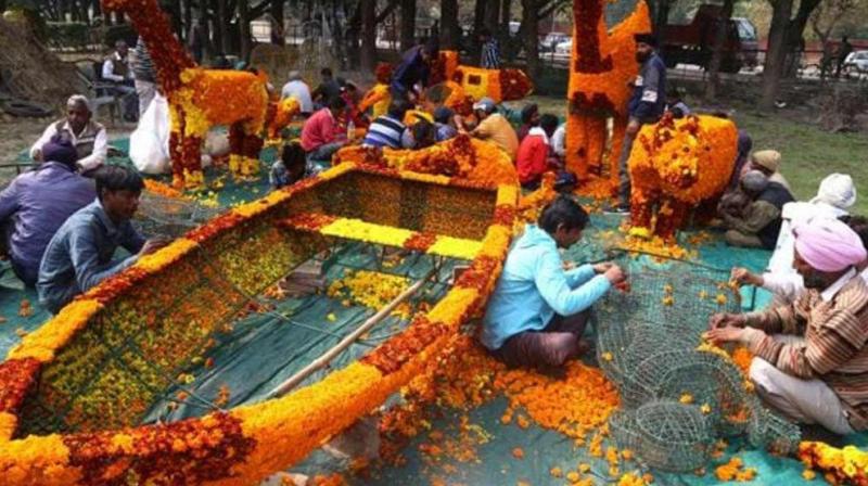 Rose Festival 2024 Rose Festival 2024