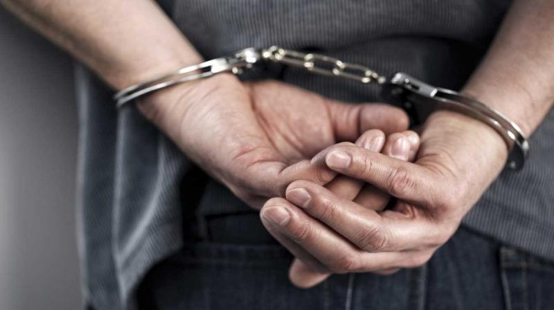 Police allegedly arrested a truck driver with 17 kg of poppy Police allegedly arrested a truck driver with 17 kg of poppy