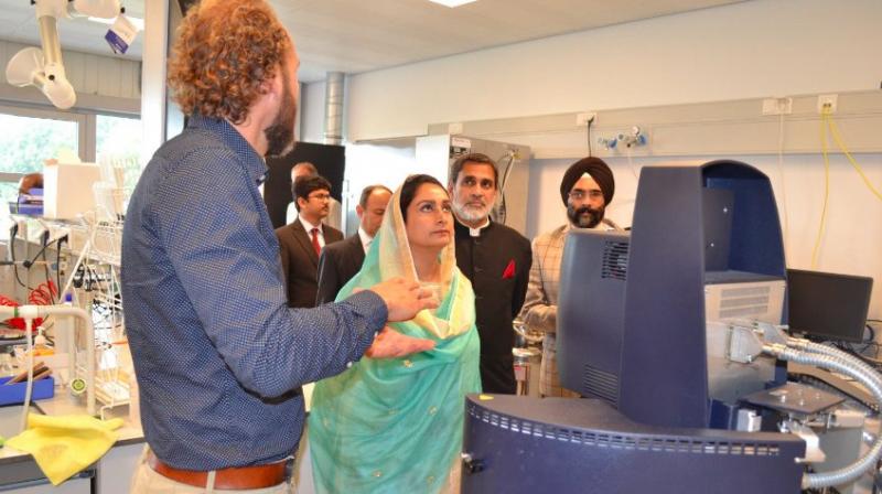 Vegetable farming is set to get a boost in Punjab: Harsimrat Badal Vegetable farming is set to get a boost in Punjab: Harsimrat Badal