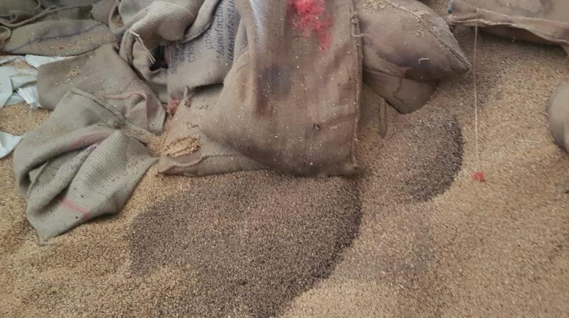 Food Safety Team Seal Flour Mill in Ludhiana Food Safety Team Seal Flour Mill in Ludhiana
