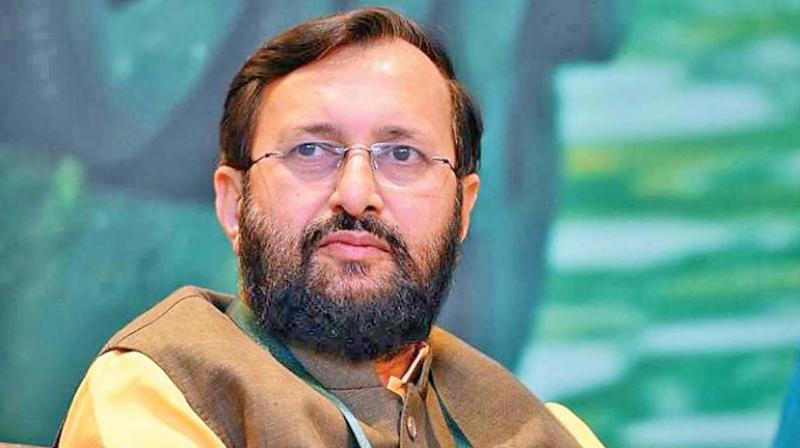 Union Minister Prakash Javadekar Union Minister Prakash Javadekar