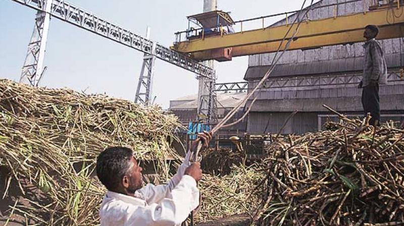Rs 4,500 crore package for the sugar industry