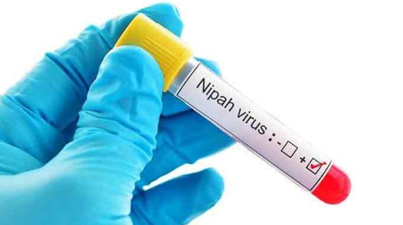 Death toll from Nipah virus rose to 15 Death toll from Nipah virus rose to 15