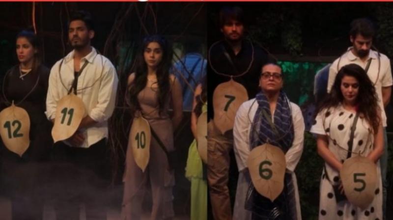 Bigg Boss 18 Elimination This Week: Digvijay Rathee Evicted from BB House Bigg Boss 18 Elimination This Week: Digvijay Rathee Evicted from BB House