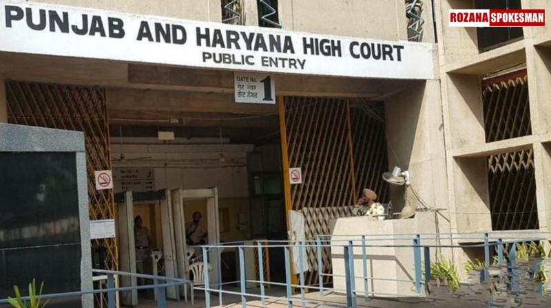 High Court Dismisses Petitions on Panchayat Elections, Confirms Polls to Proceed as Scheduled High Court Dismisses Petitions on Panchayat Elections, Confirms Polls to Proceed as Scheduled