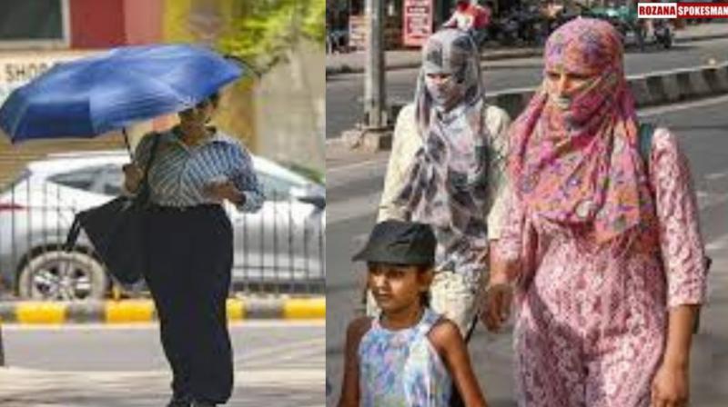 Punjab Weather Update today: Heat Alerts Issued, Rainfall Predicted Punjab Weather Update today: Heat Alerts Issued, Rainfall Predicted