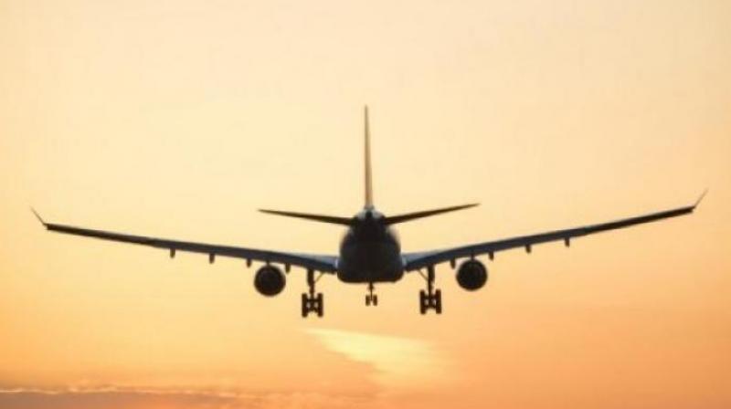 Flight Flight