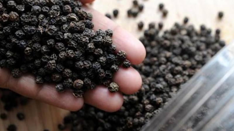 Spices rule steady in weak trade Spices rule steady in weak trade