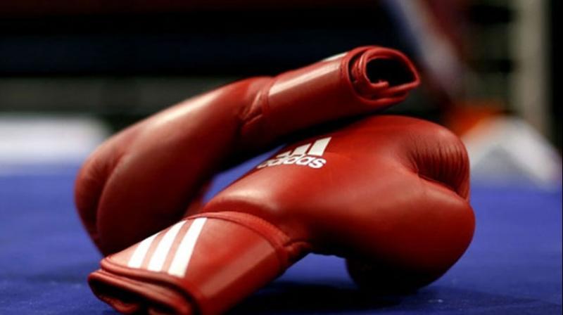 boxing boxing