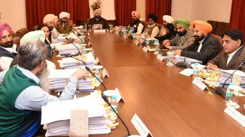 Punjab Cabinet Okays Merger of 20 DCCBs With PSCB