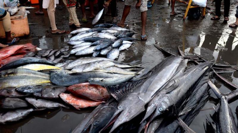 seized in Kerala seized in Kerala