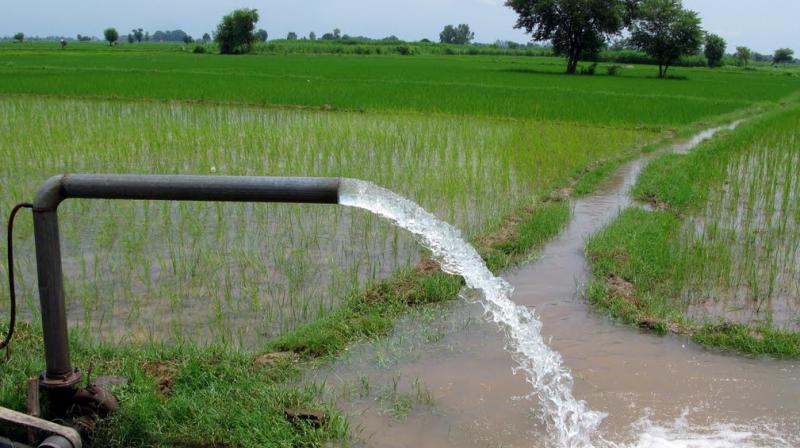 Imposing draconian cuts on lifting of irrigation water through pump