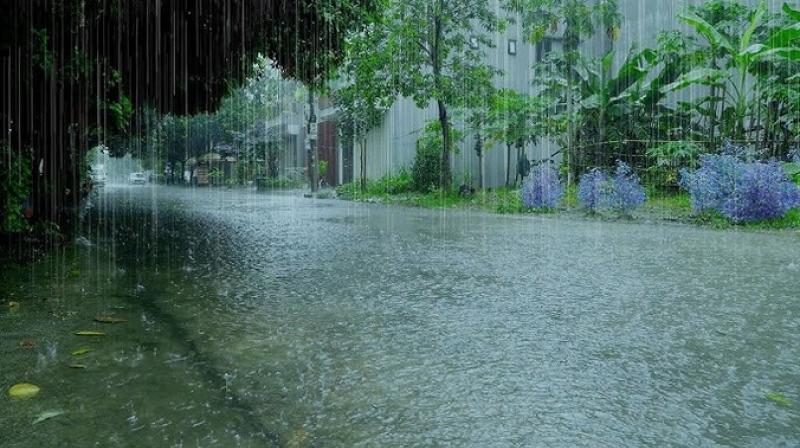 Rain Activity to Continue for Next 36 Hours In Punjab & Haryana; Weather to Clear Up by 8th: IMD (Image Courtesy: Newsonair)