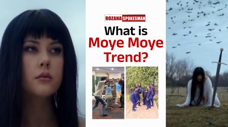 What is Moye Moye Trend?