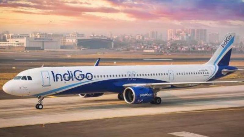 IndiGo Flight IndiGo Flight