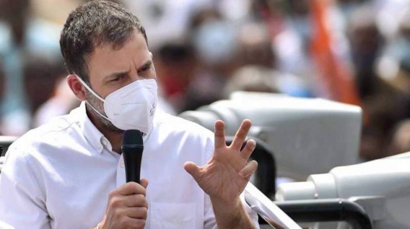 Rahul Gandhi Rahul Gandhi