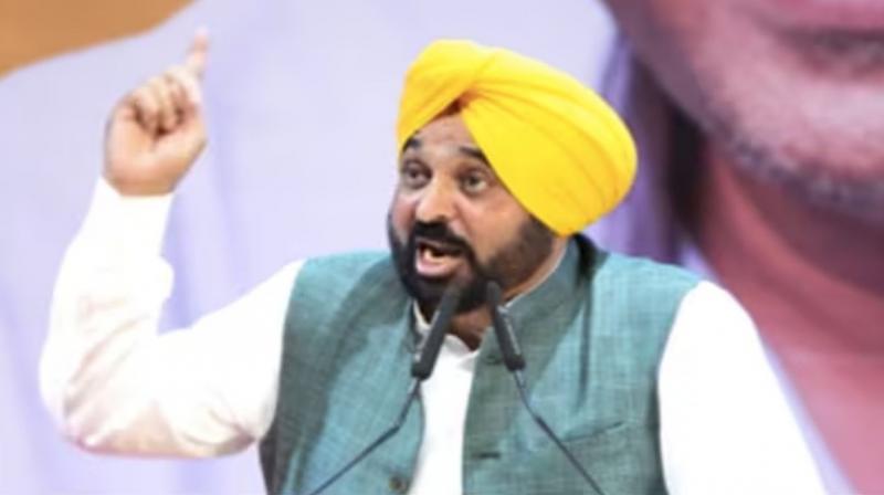 3 months deadline set by CM Bhagwant Mann to make Punjab drug free 3 months deadline set by CM Bhagwant Mann to make Punjab drug free