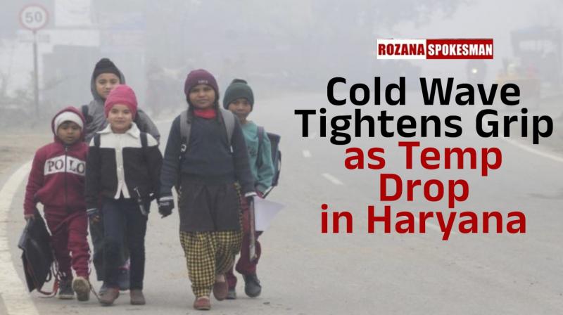 Haryana Weather Update Latest News 
