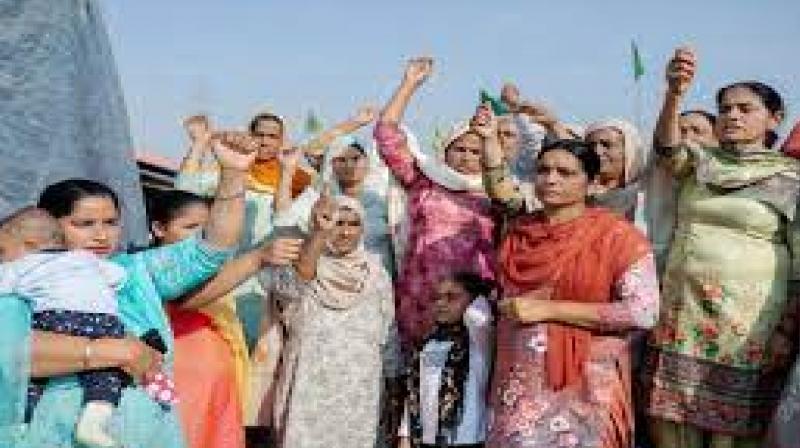 HC on children and women being used as shield during farmers protest 