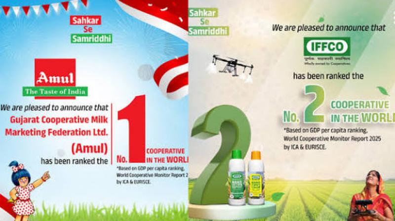 Both organisations are the core of the country's rural economy — Amul revolutionised the dairy industry by empowering millions of farmers, while IFFCO has been instrumental in ensuring sustainable agricultural productivity. File Photo
