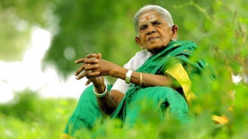 106-year-old Saalumarada Thimmakka