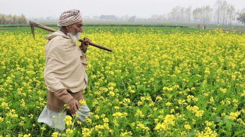 Hike in loan waiver once the fiscal situation Hike in loan waiver once the fiscal situation