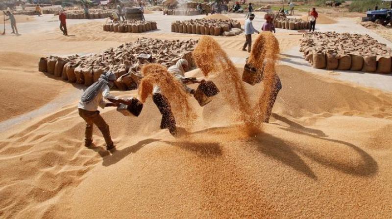 28446 tonnes of paddy from various procurement centres in the State 28446 tonnes of paddy from various procurement centres in the State