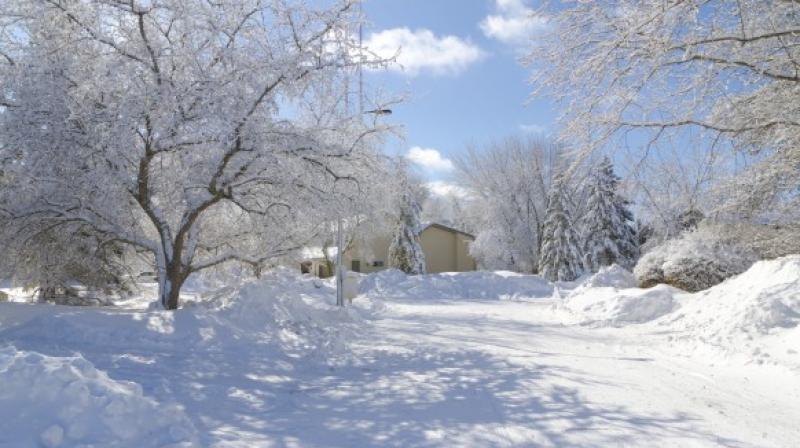 Kashmir fresh snowfall