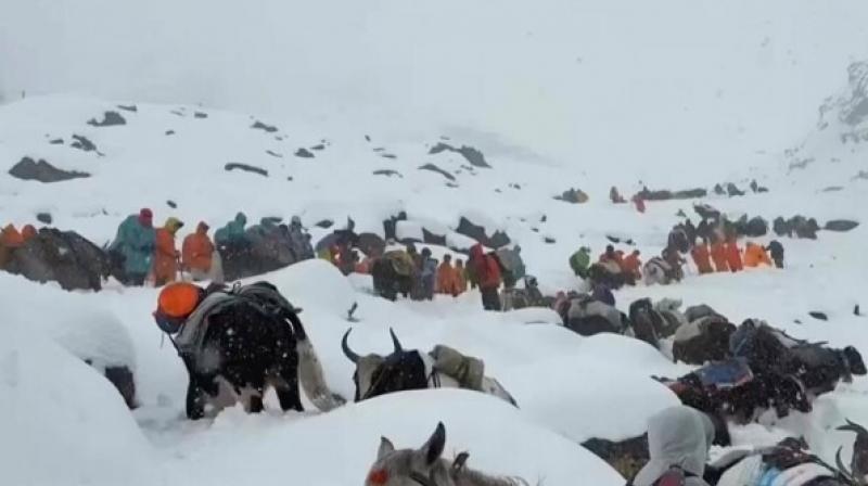 850 Hikers (Mostly Chinese), Guides, Porters Stranded In Blizzard On Slopes Of Mount Everest Rescued 850 Hikers (Mostly Chinese), Guides, Porters Stranded In Blizzard On Slopes Of Mount Everest Rescued