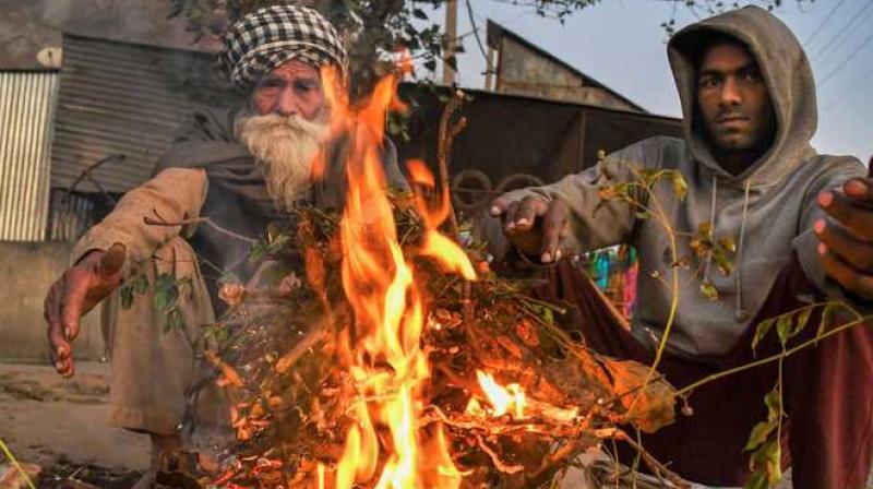 Punjab, Haryana shiver under cold wave Punjab, Haryana shiver under cold wave