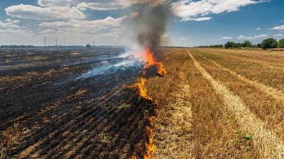 Punjab Govt Launches Crop Residue Management Loan Scheme to Tackle Stubble Burning Issue