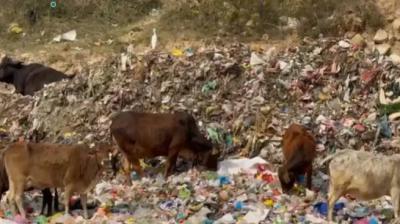 Uttarakhand: Haridwar Residents Demand Relocation of Dumping Yard as Domestic Waste Pollutes Ganga (IMage courtesy:TOI)