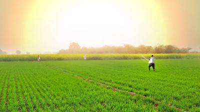 He also called on the hospitality industry to promote Geographical Indication (GI) tagged food products. File Photo.